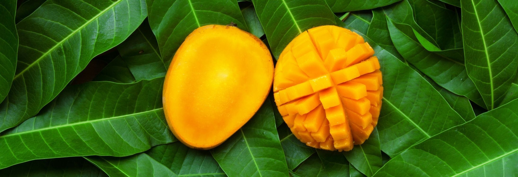 10 Places in India that have the best mangoes in the world