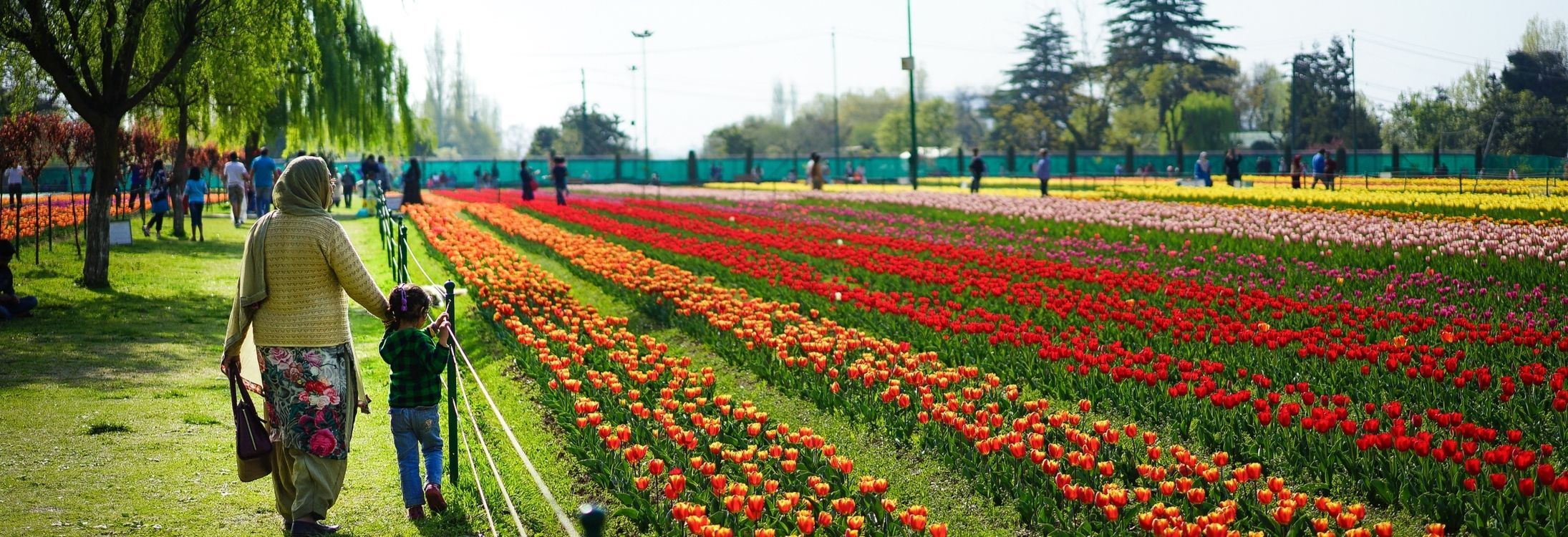 Places in India where there are more flowers than people