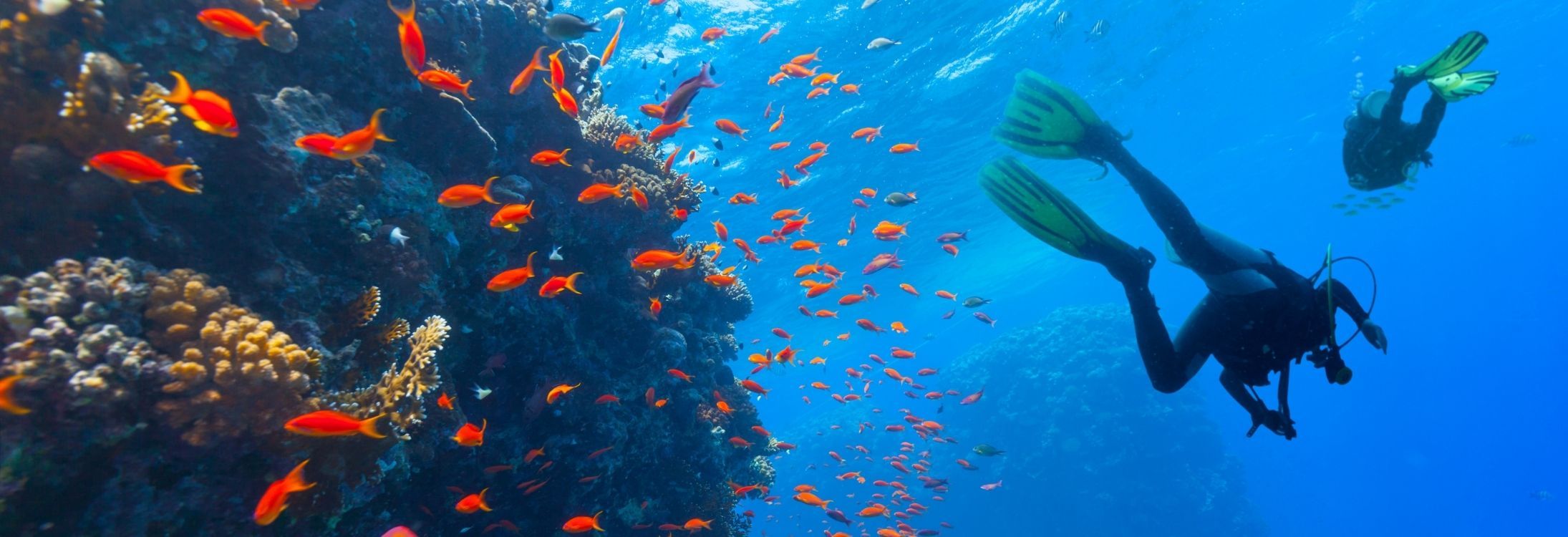 8 Beautiful places in India for scuba diving