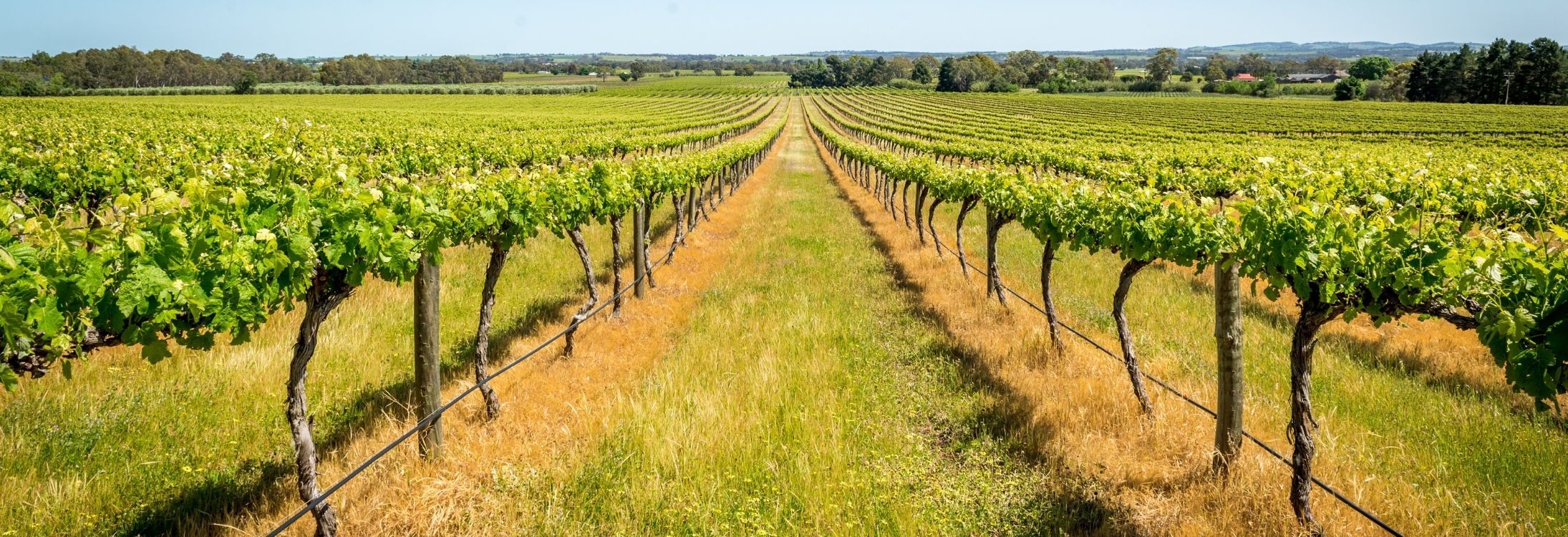 Barossa Valley, Australia