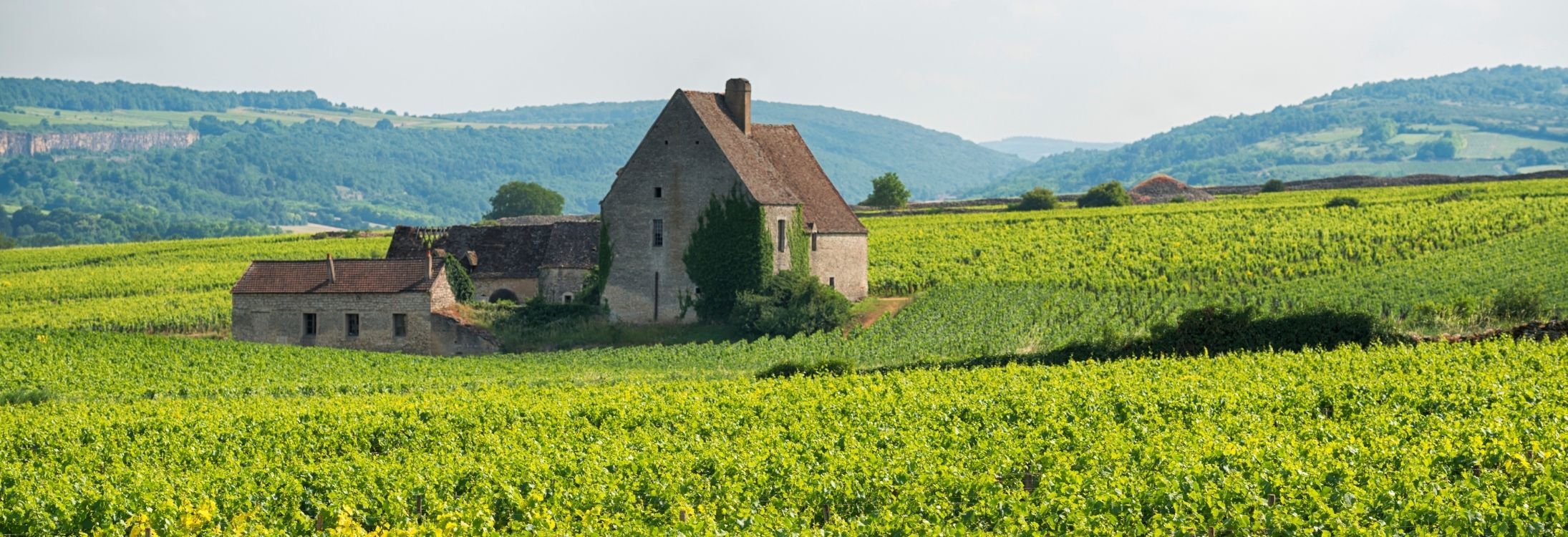 Burgundy, France