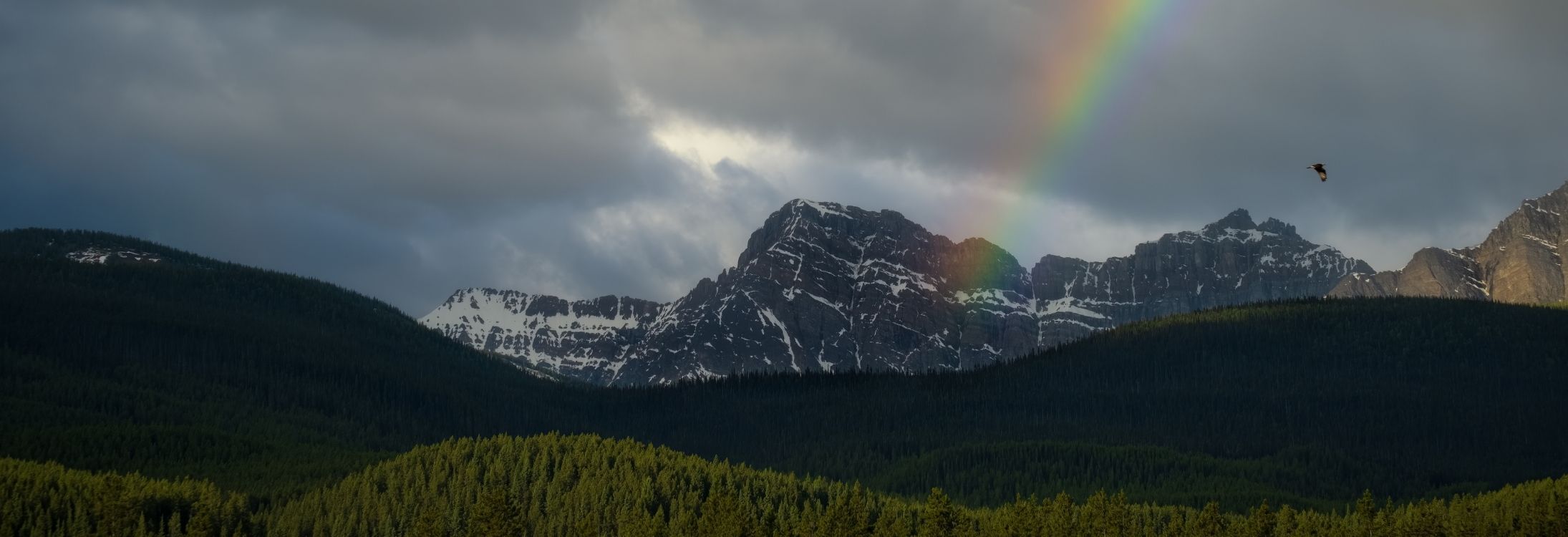 Canadian Rockies.