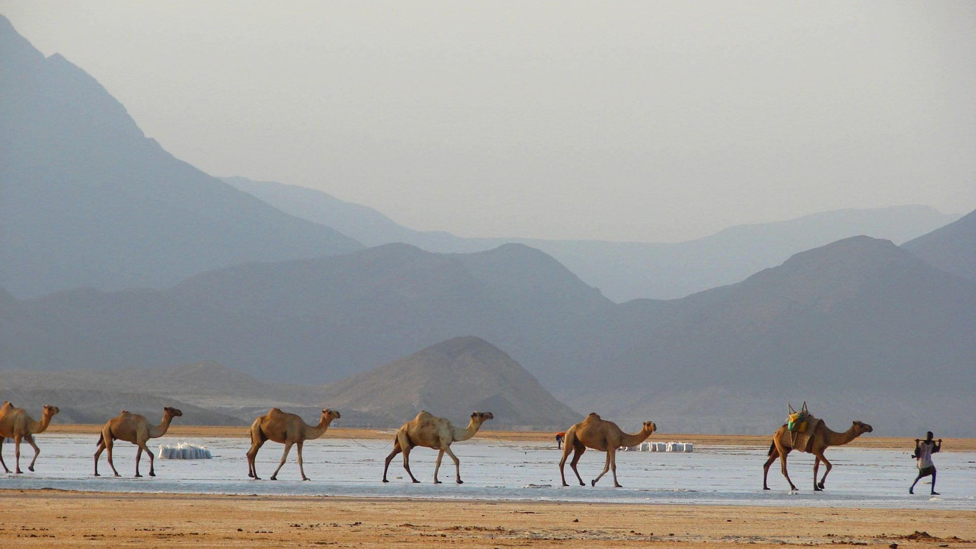 Djibouti