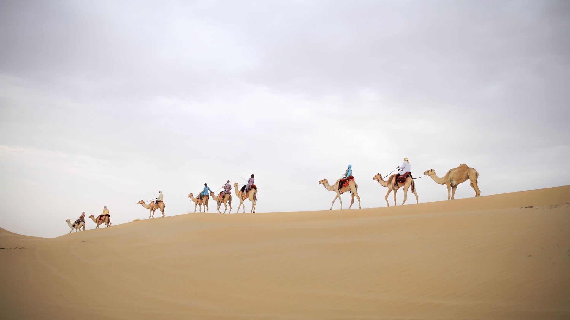 Dubai Desert Safari - Camel Ride