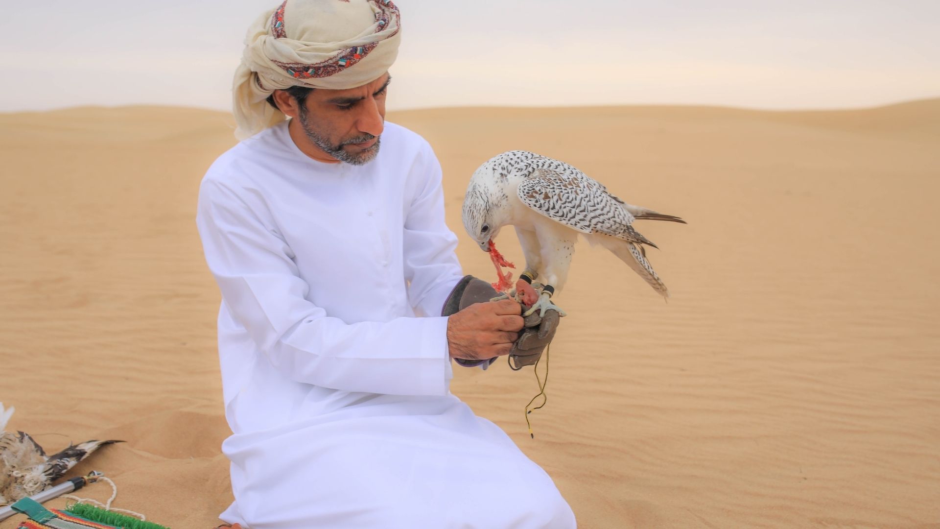 Dubai Desert Safari - Photo with Falcon