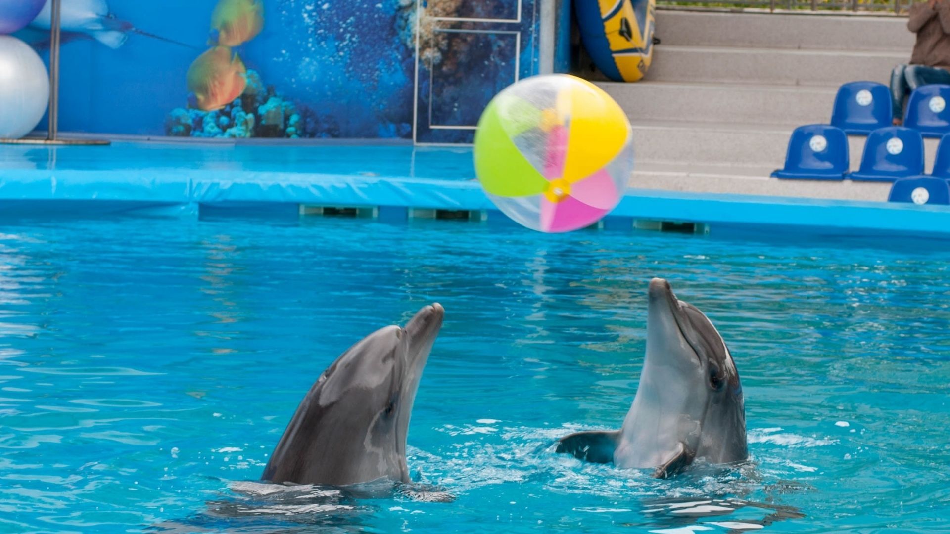 Dubai Dolphinarium