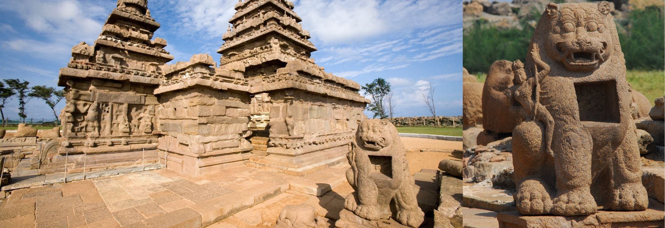 Durga on a lion