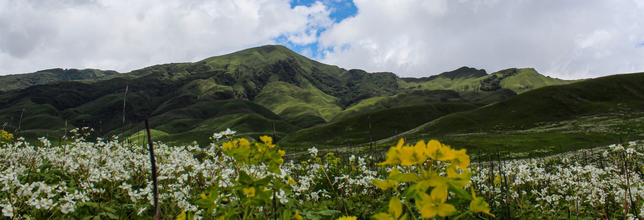 Dzukou Valley