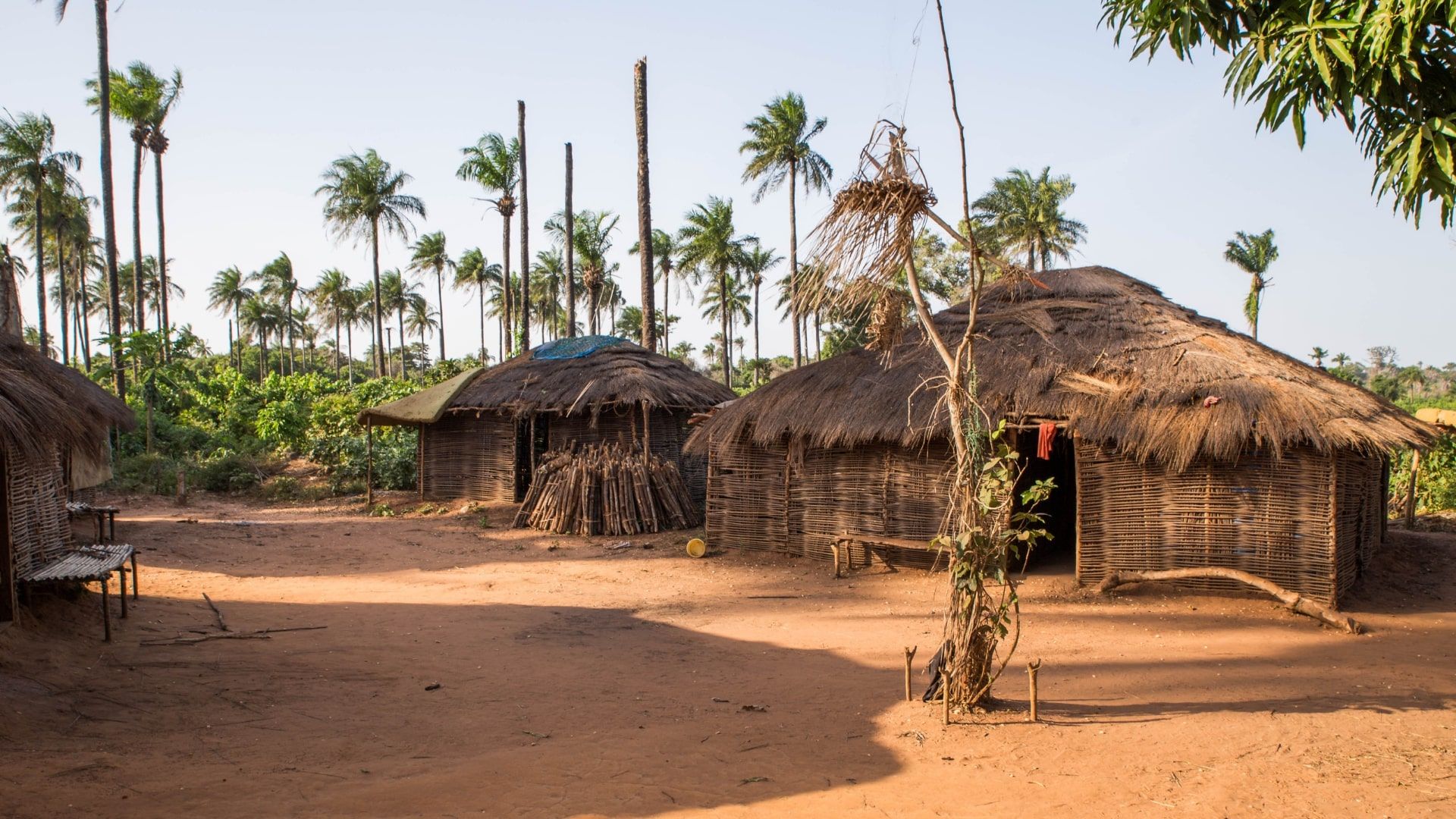 Guinea- Bissau