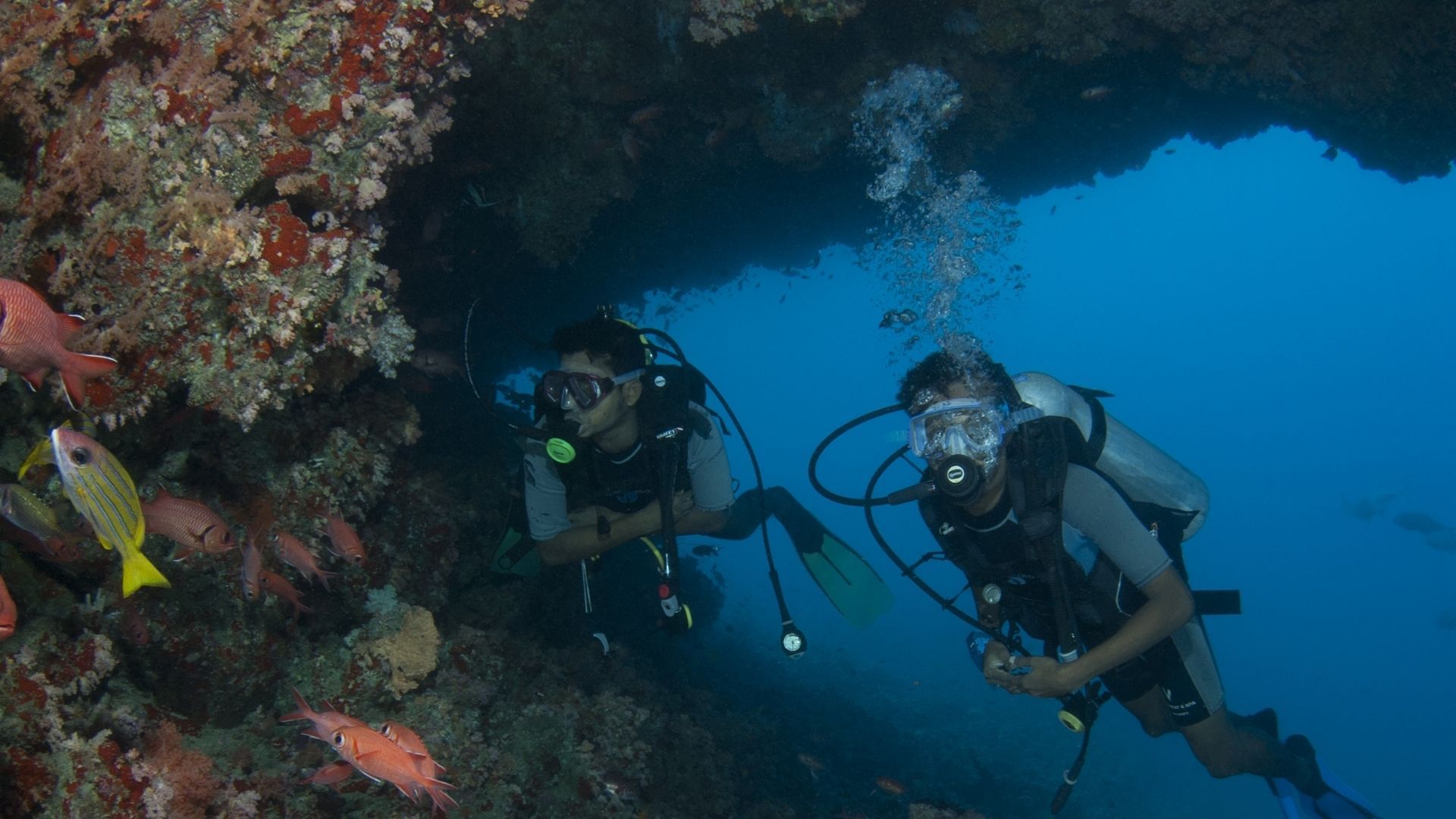 HP Reef