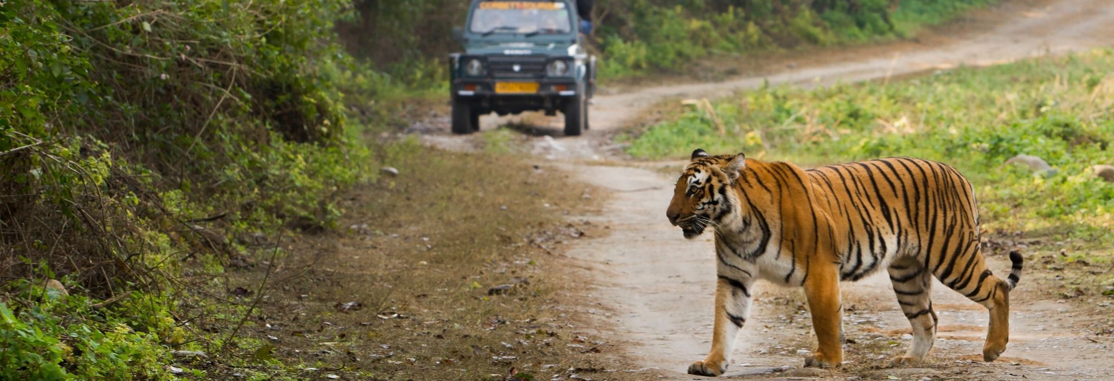 Jim Corbett National Park