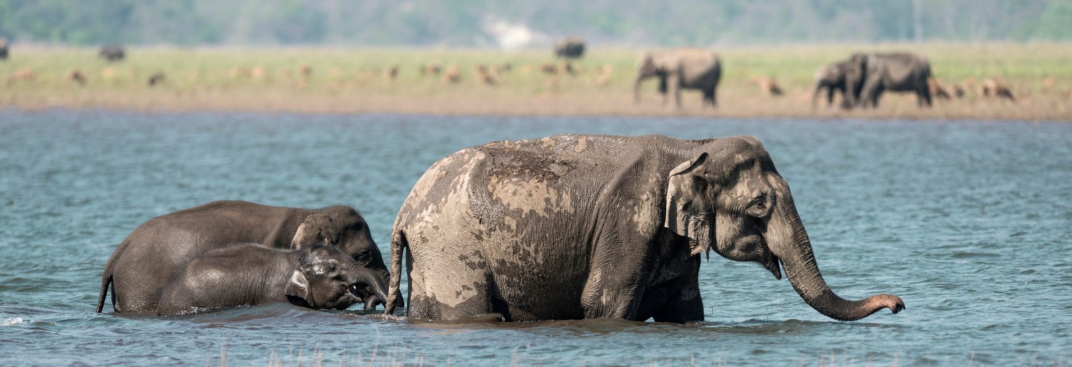 Jim Corbett National Park, Uttarakhand