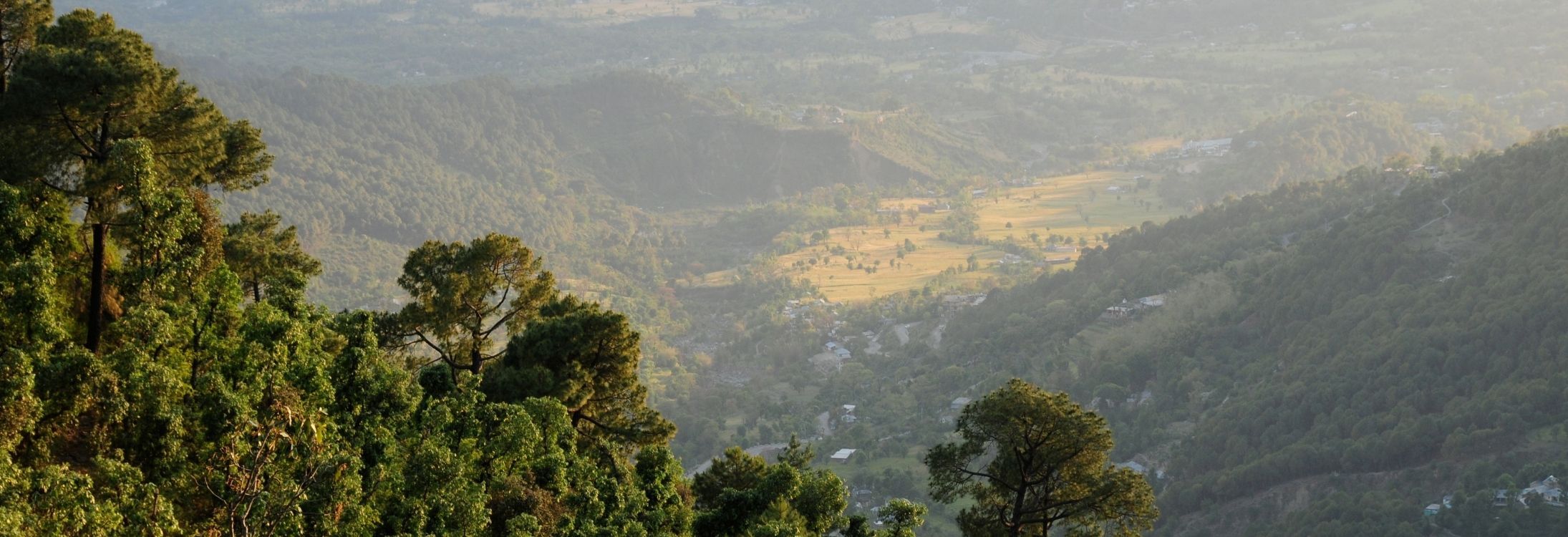 Kangra valley, Himachal Pradesh