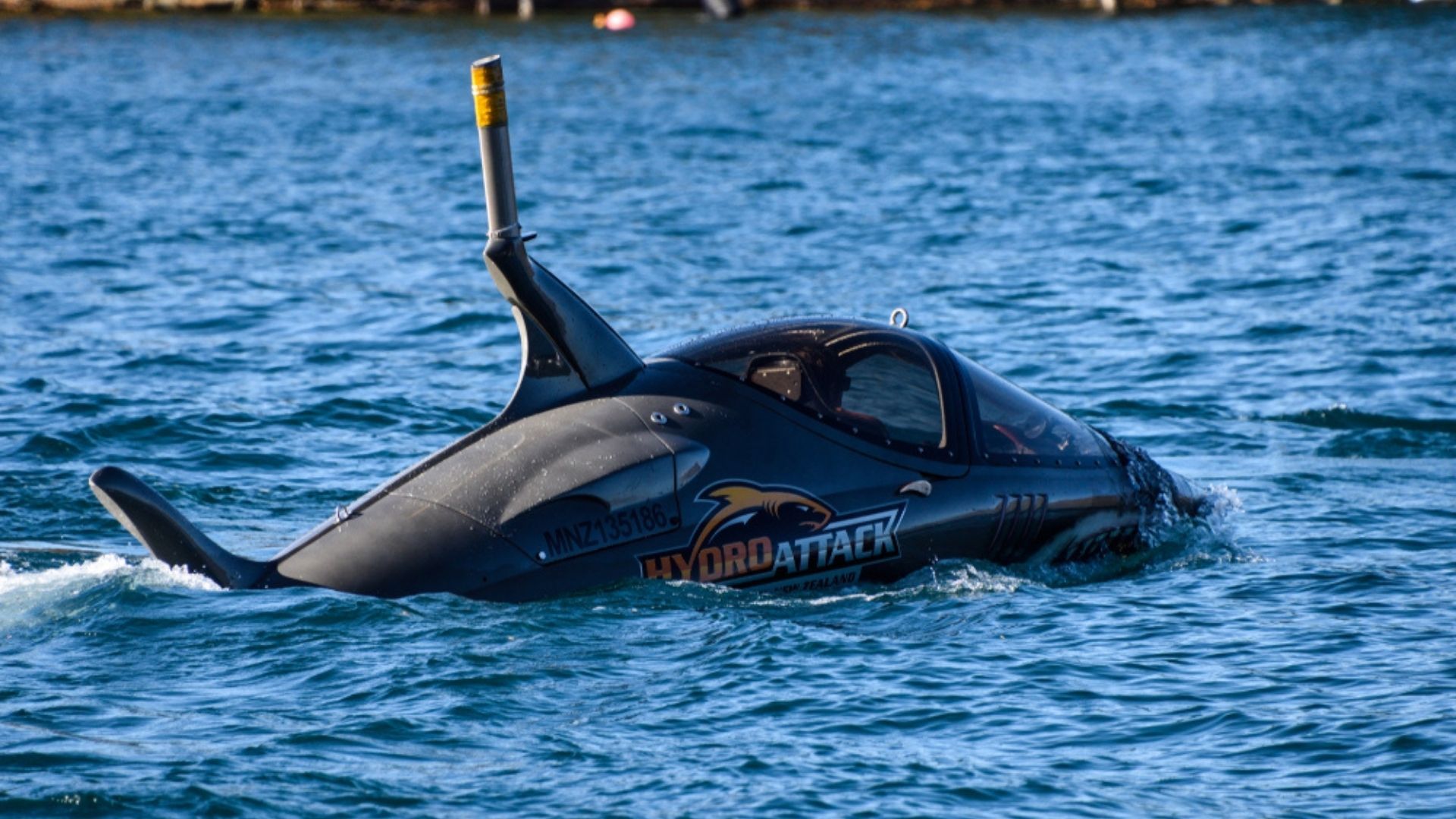 Sea Breacher ride