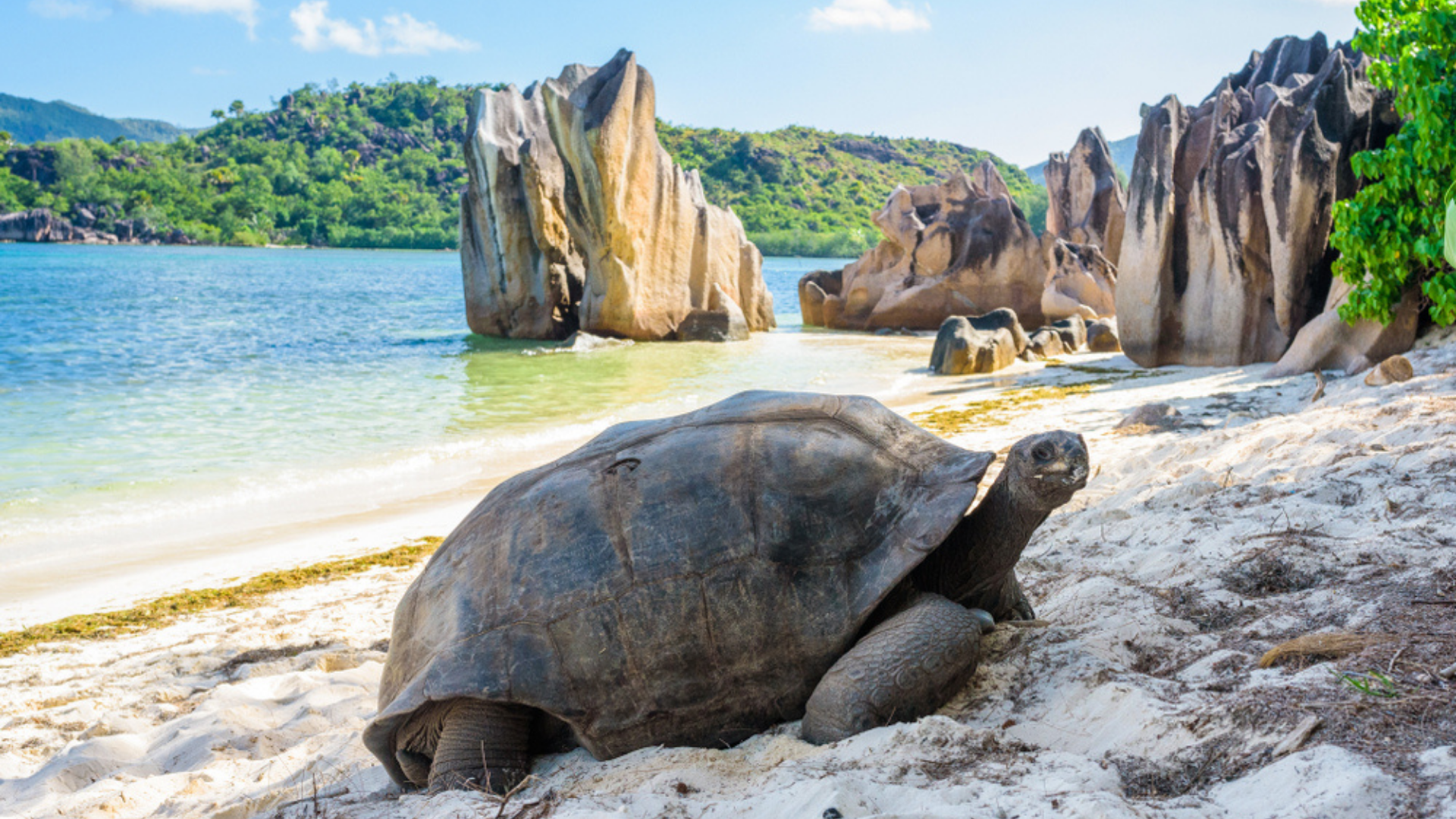 Seychelles