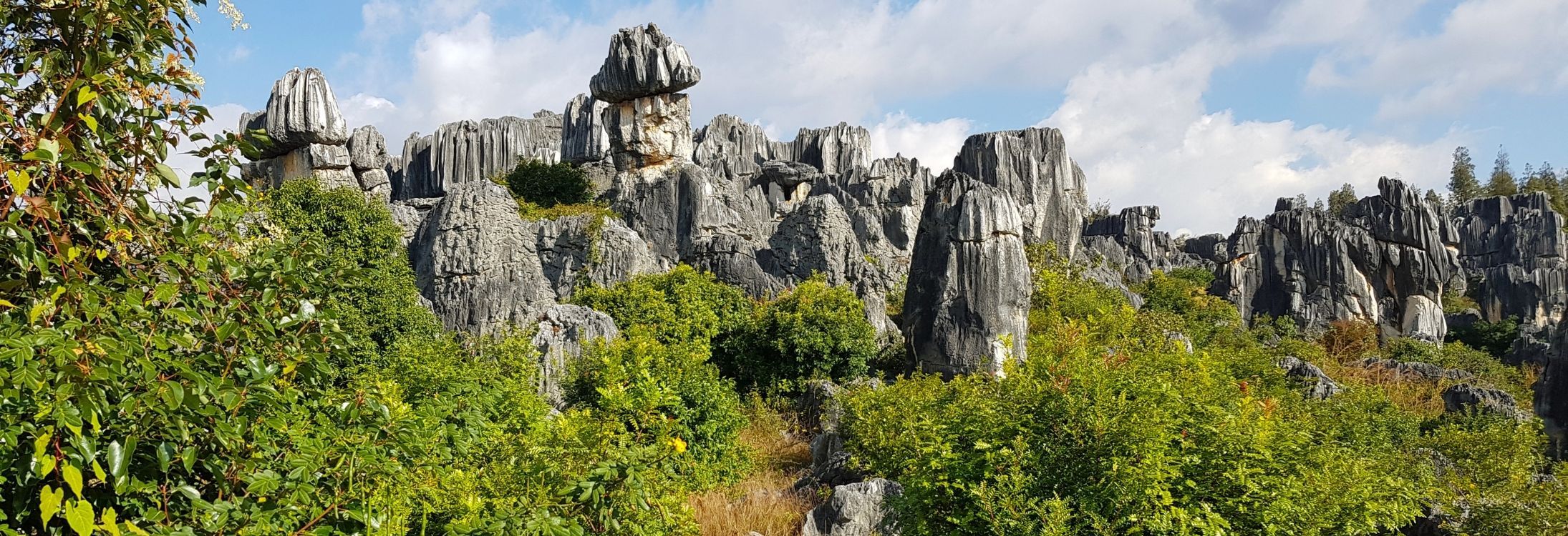 Shilin Stone Forest, China