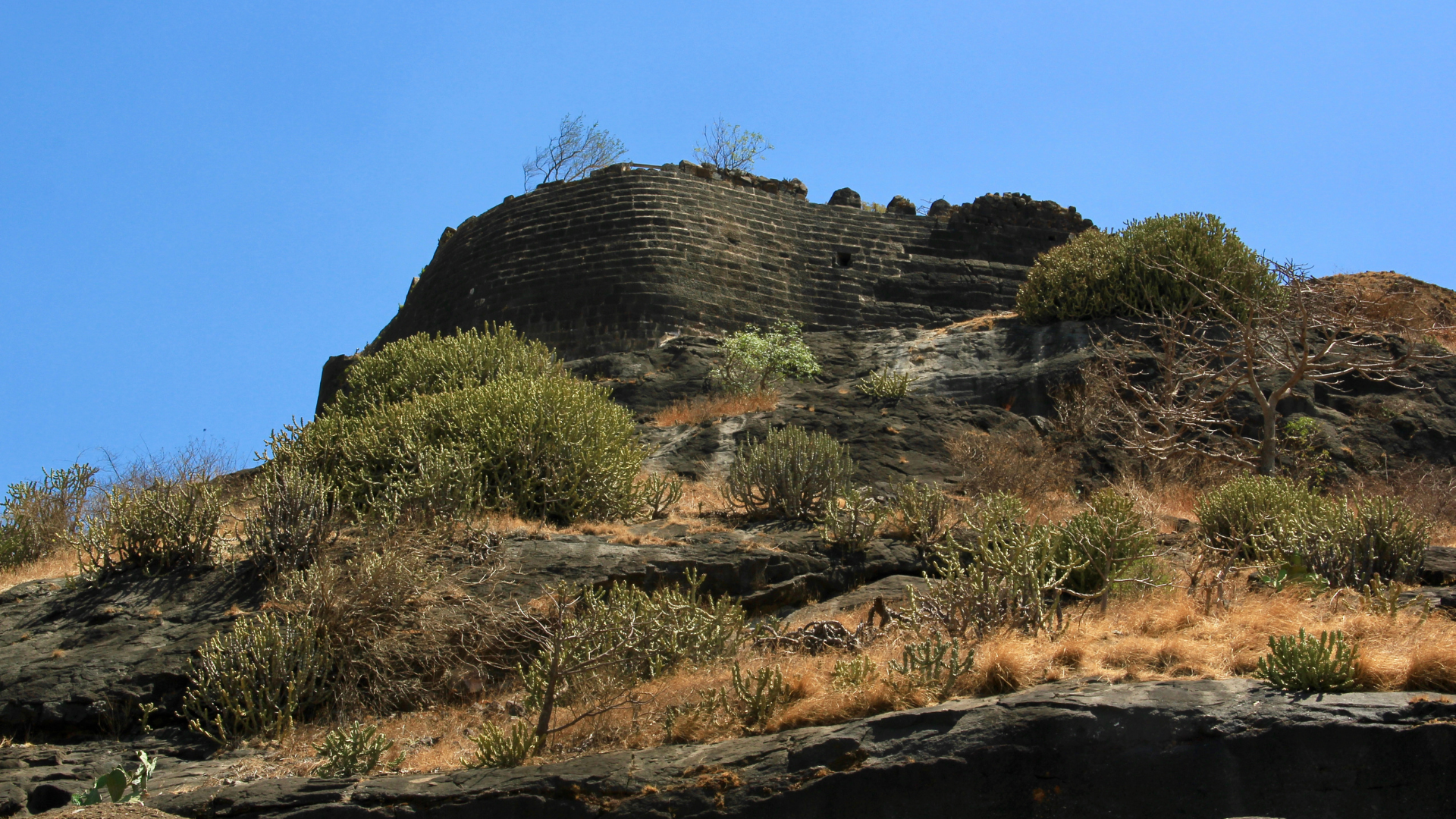 Shivneri Shivneri