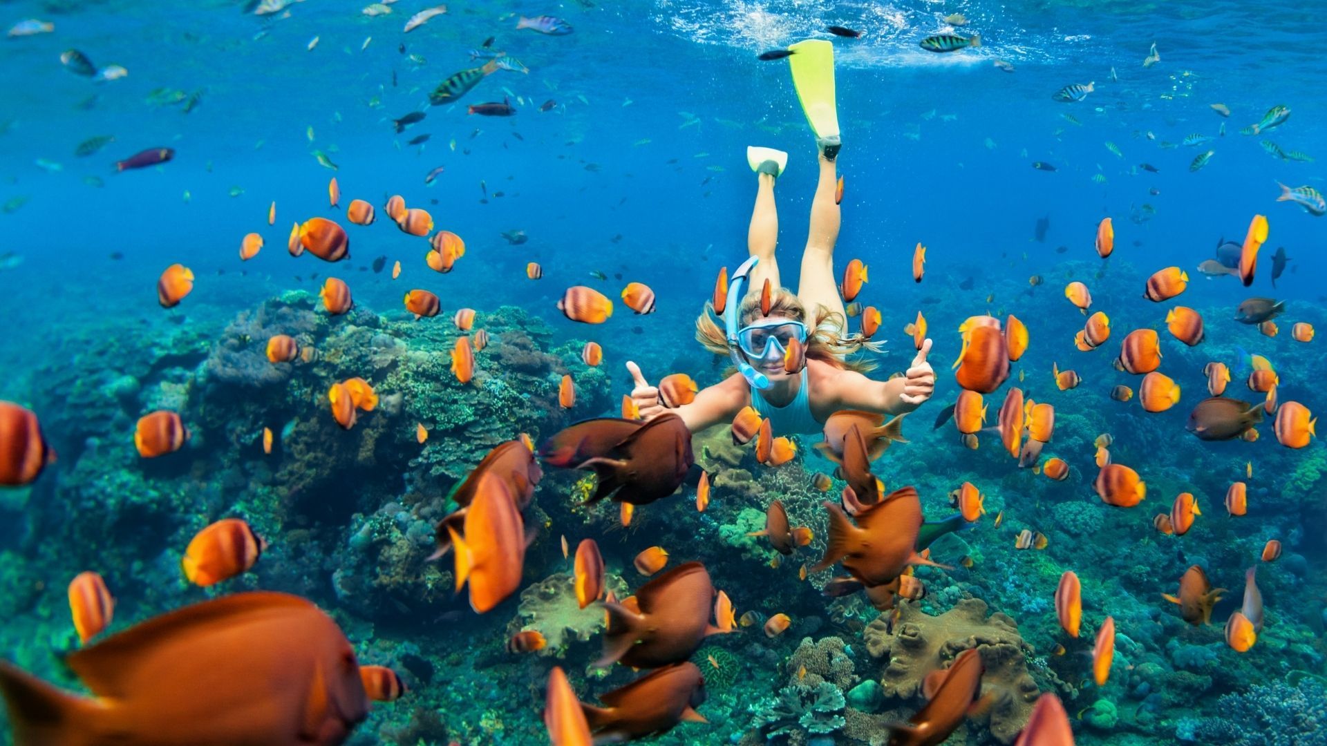 Snorkeling in Maldives
