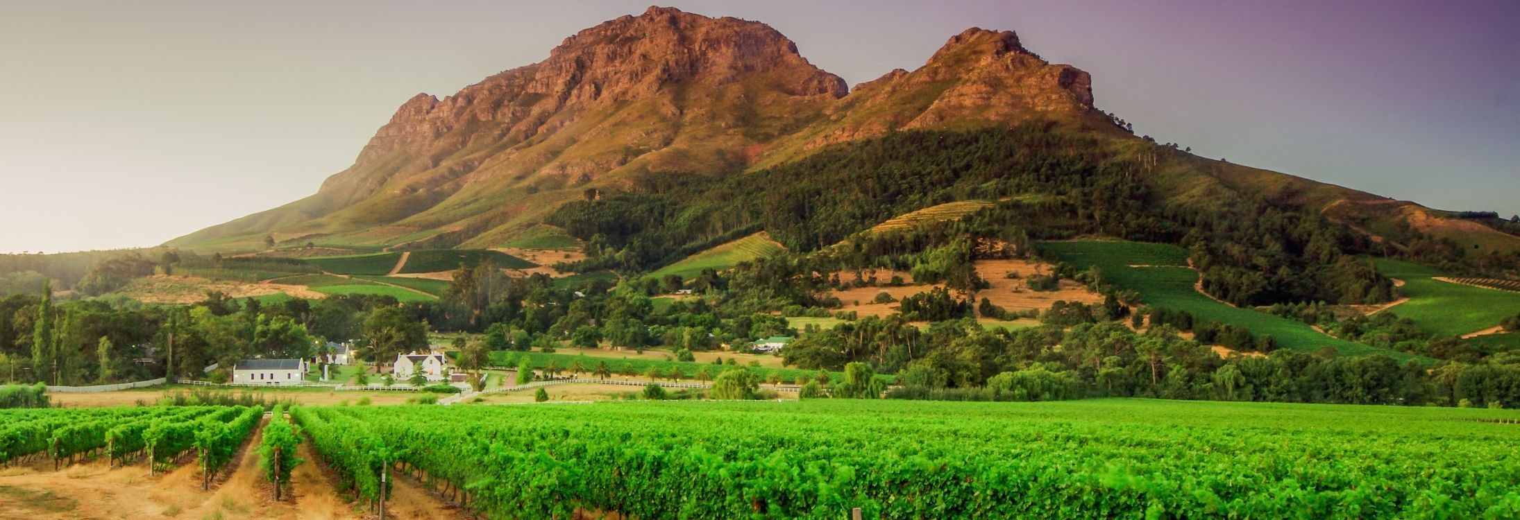 Stellenbosch, Cape Town