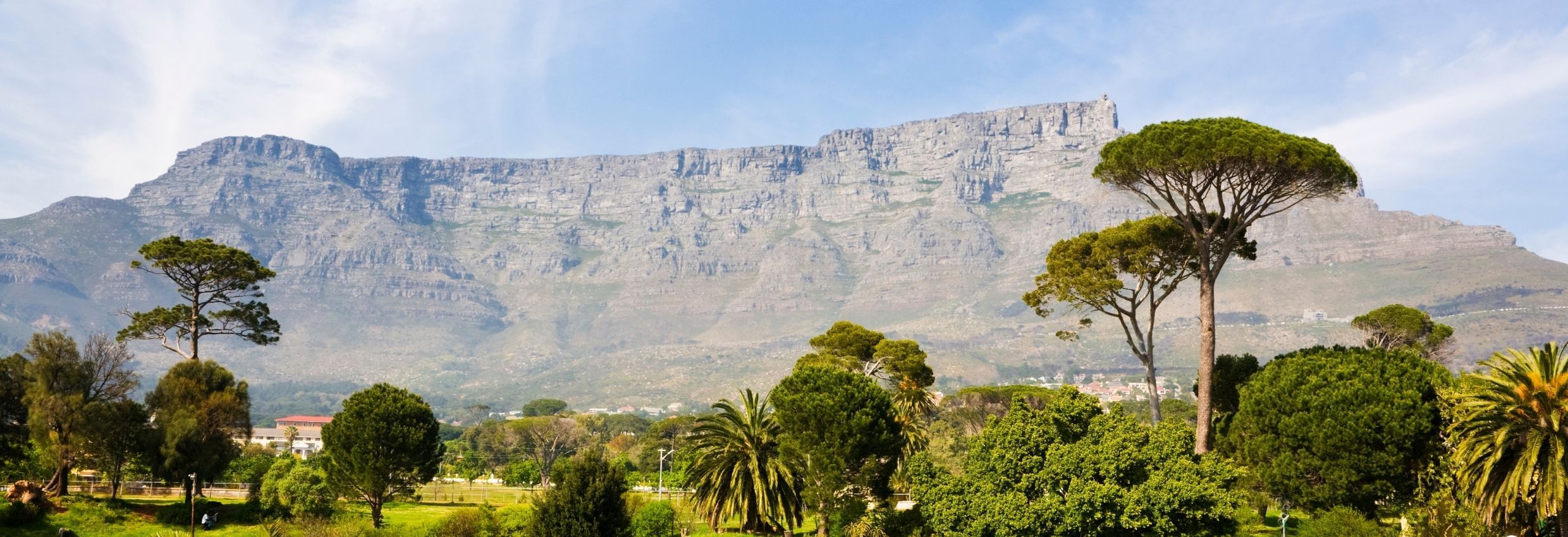 Table Mountain, Cape Town