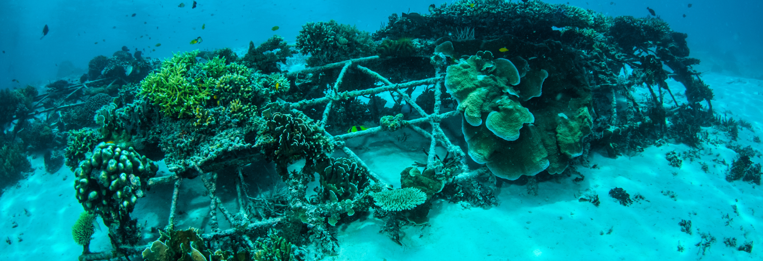 Underwater Biorock Structures