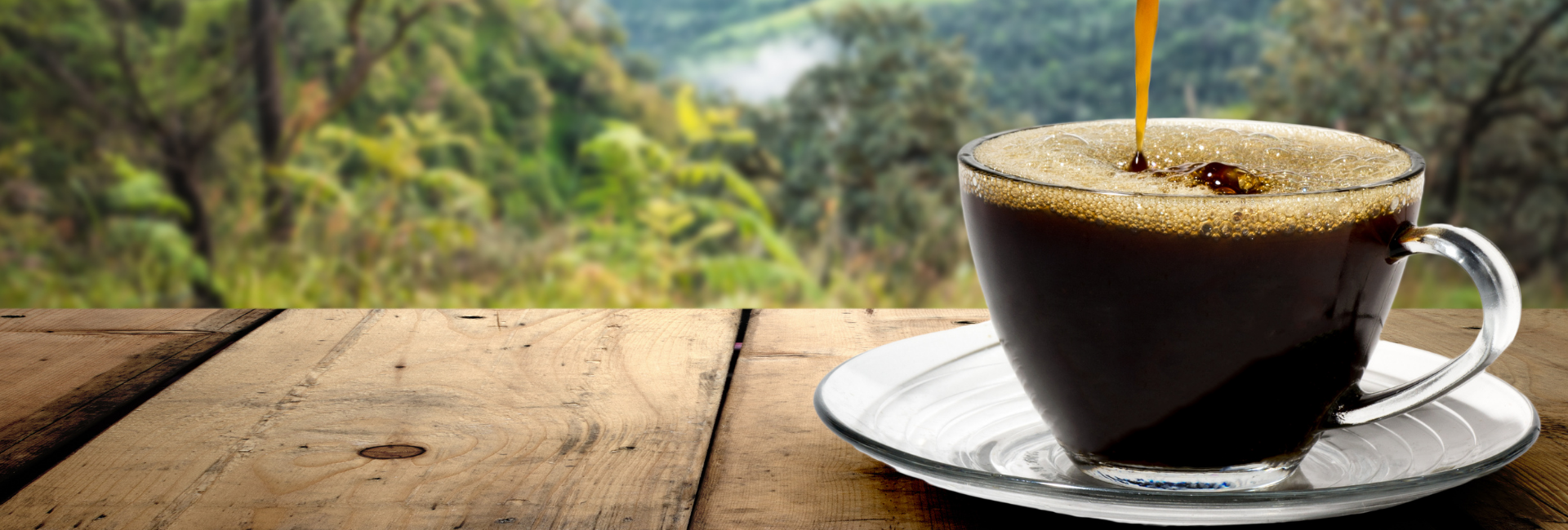 Countries every coffee lover must visit