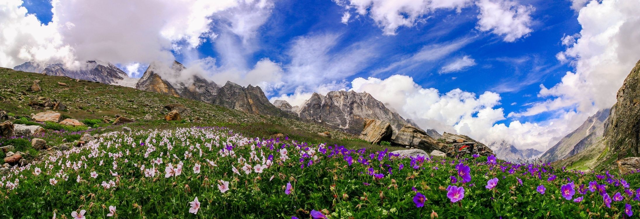 Valley of Flowers, Uttarakhand