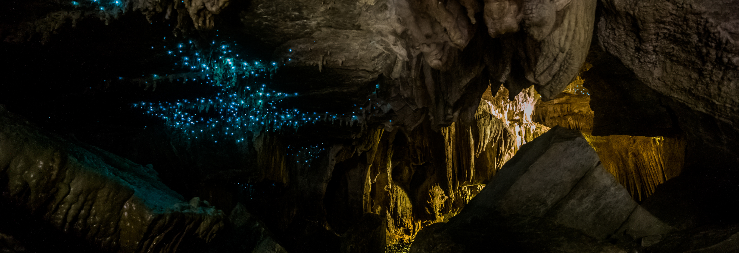 Waitomo Glowworm Caves