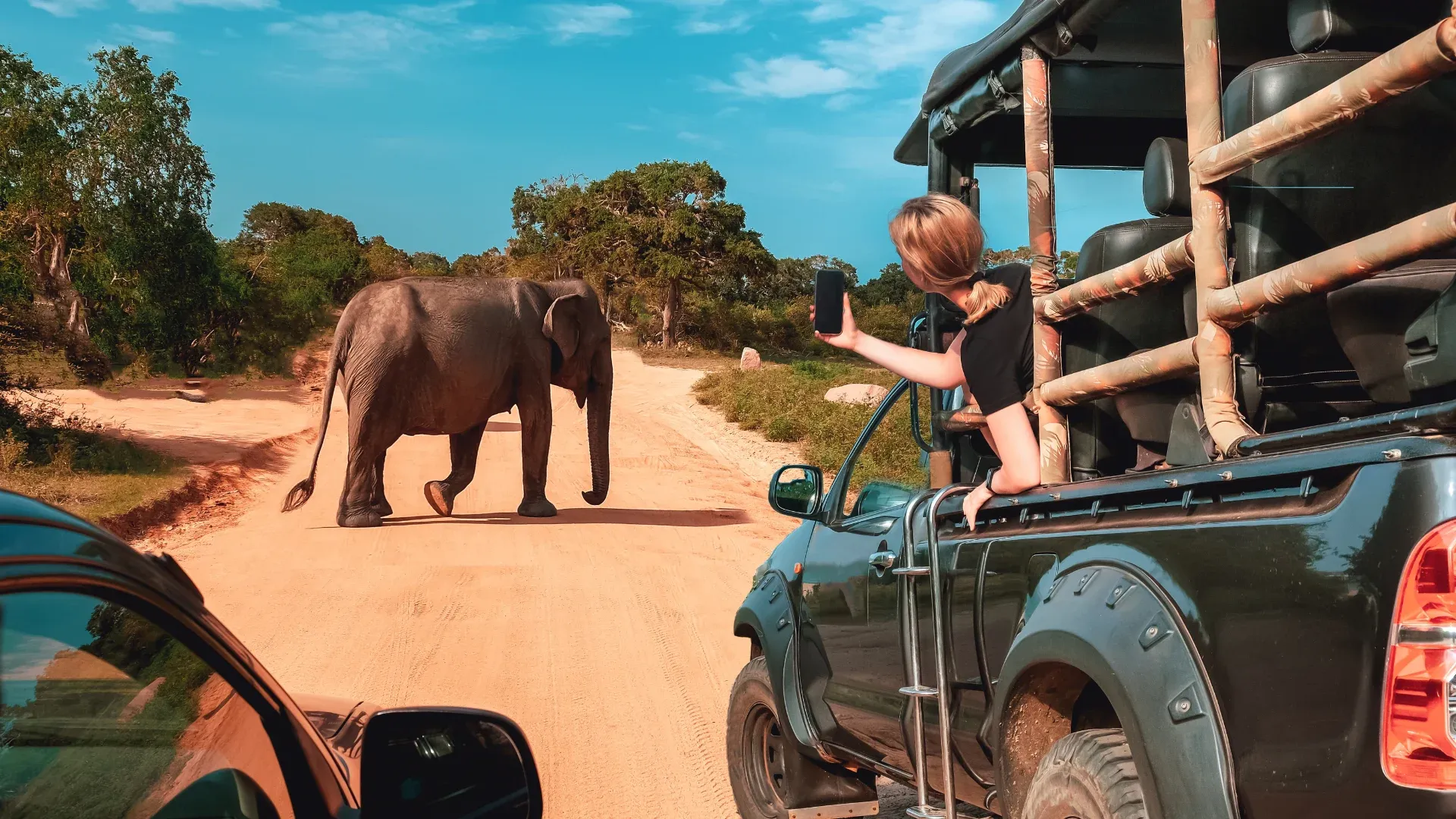 East Africa’s Greatest Safaris: Where to Go, When & How