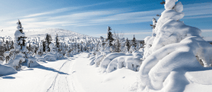 Finland Visa