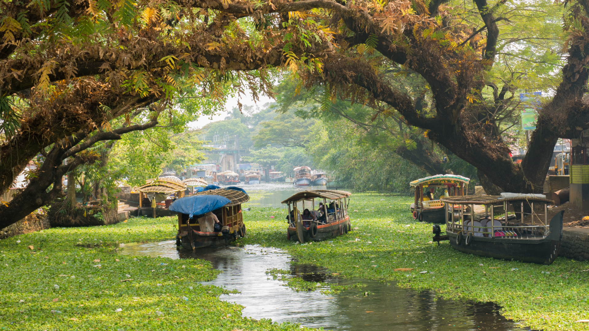 kerala
